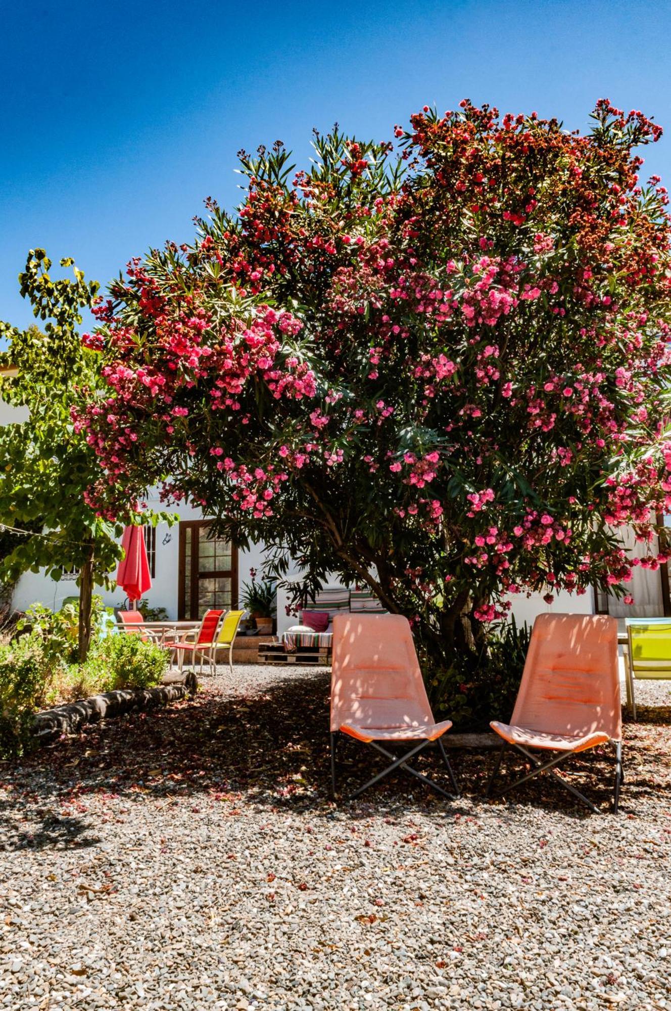 Nido Aguila Blanca Lejlighedshotel Guaro Eksteriør billede